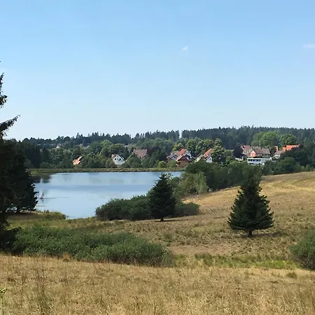 Harz 'fuchsbau' Mit Balkon - Bubo Am קלאוסטל-צלרפלד